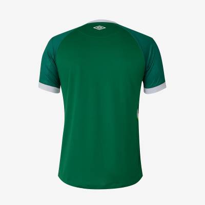 chapecoense_2023_umbro_home_kit_f white1.jpeg